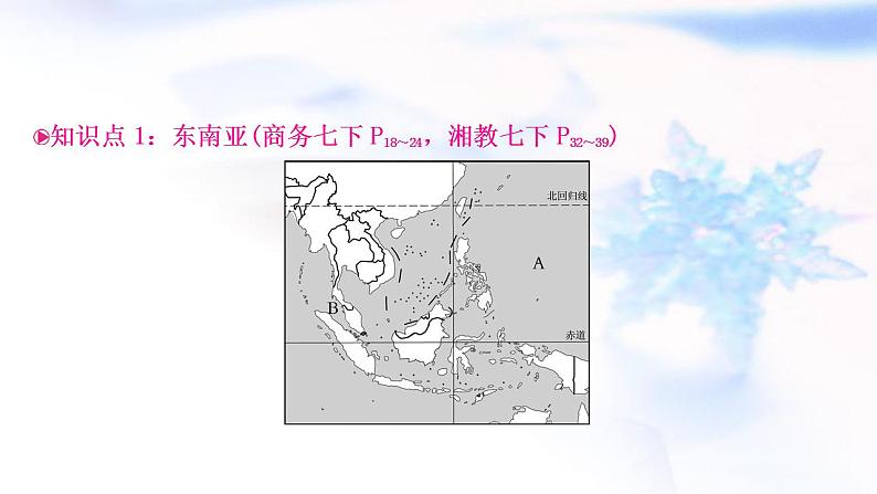 中考地理复习世界地理第七章各具特色的地区第1课时东南亚、中东、撒哈拉以南的非洲教学课件第3页
