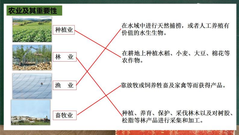 人教版地理八年级上册4.2 《农业》课件07