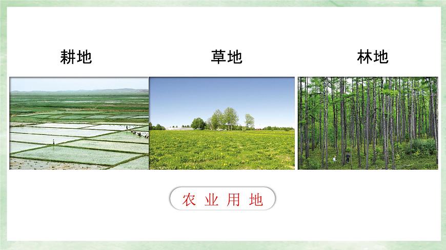 人教版地理八年級(jí)上冊(cè)3.2土地資源-2022-2023學(xué)年八年級(jí)上冊(cè)同步精品課件第6頁(yè)