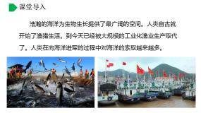 【核心素养】湘教版初中地理 八年级上册 3.4《中国的海洋资源》 课件+教案