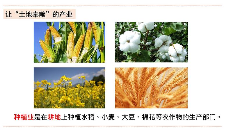 湘教版八年级上册地理4.1.1《农业》课件+教案08
