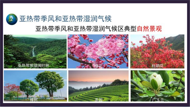 中国版地理八年级上册2.2.2《世界的气候类型》（第2课时）课件+教案05