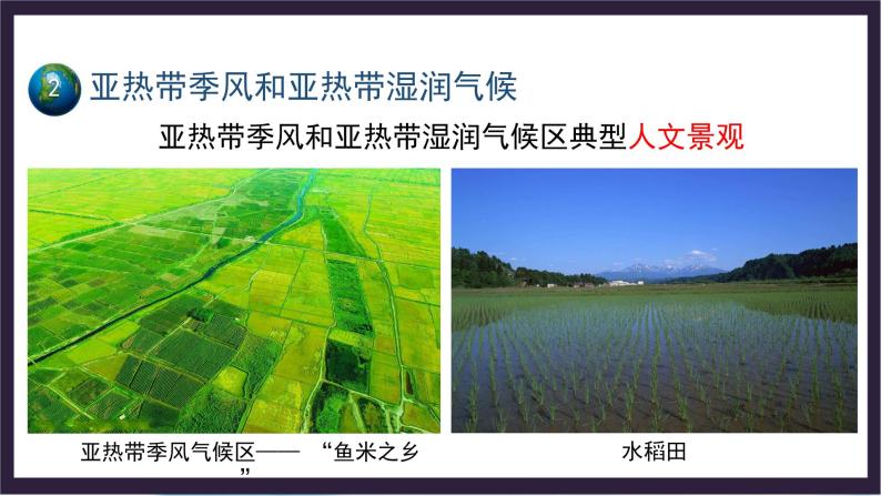 中国版地理八年级上册2.2.2《世界的气候类型》（第2课时）课件+教案06