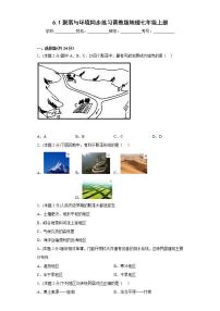 初中地理晋教版七年级上册6.1聚落与环境课后测评