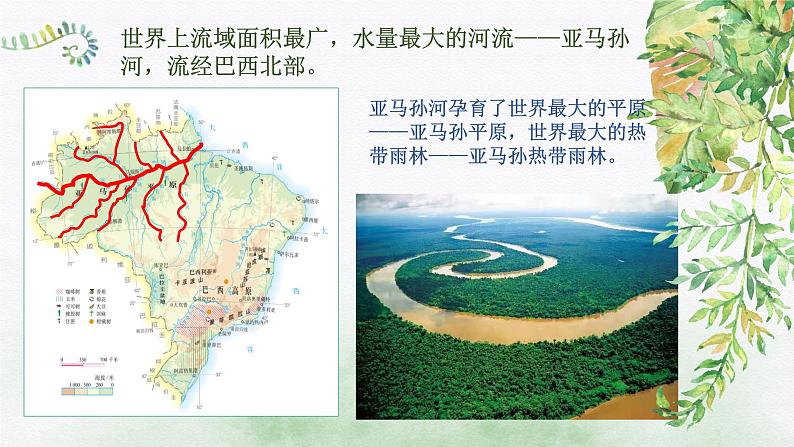 2023-2024学年人教版地理七年级下册第九章第二节《巴西》第二课时课件05