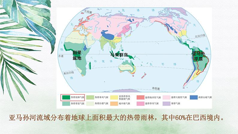 2023-2024学年人教版地理七年级下册第九章第二节《巴西》第二课时课件06