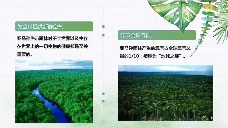 2023-2024学年人教版地理七年级下册第九章第二节《巴西》第二课时课件08
