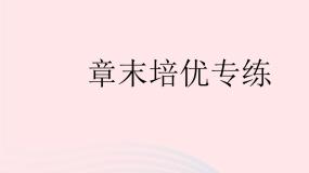 2023七年级地理下册第八章东半球其他的地区和国家章末培优专练作业课件新版新人教版