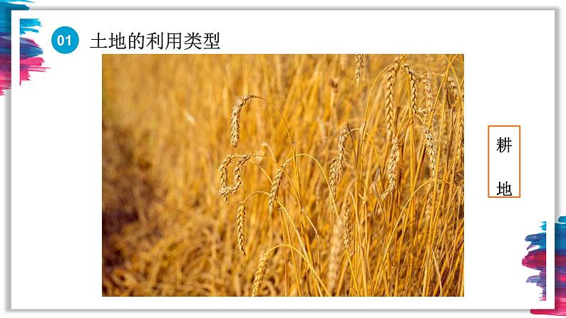 人教版八年级地理上册-3.2土地资源(精品课件)04
