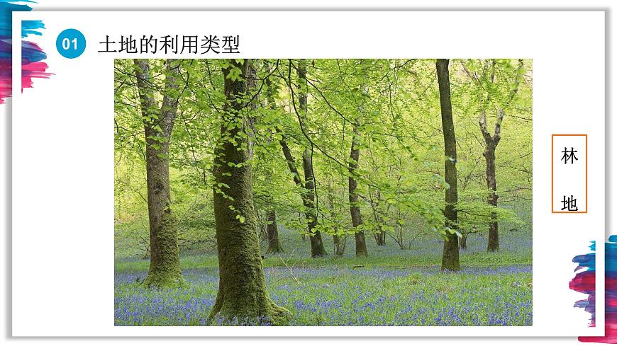 人教版八年級地理上冊-3.2土地資源（精品課件）第5頁