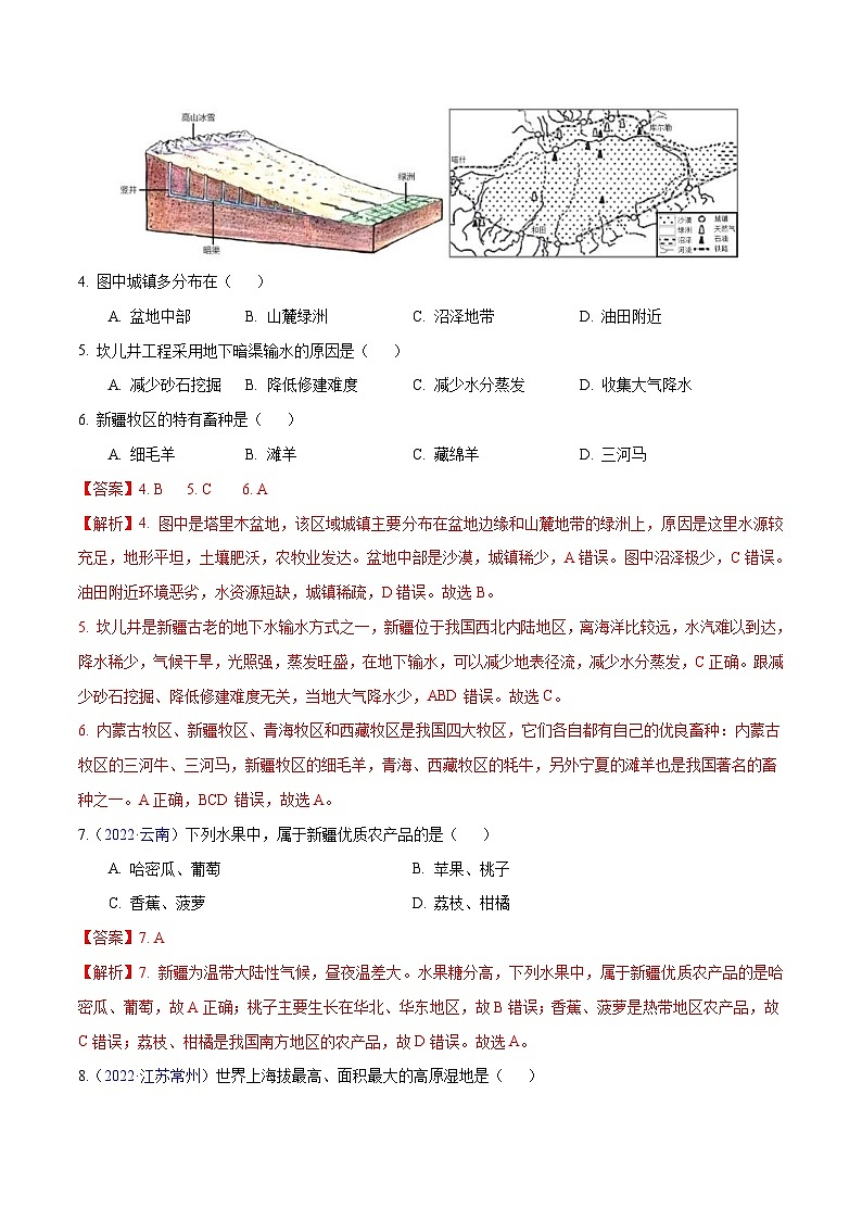 2022年中考地理真题分项汇编专题16 西北地区和青藏地区(含解析)第2页