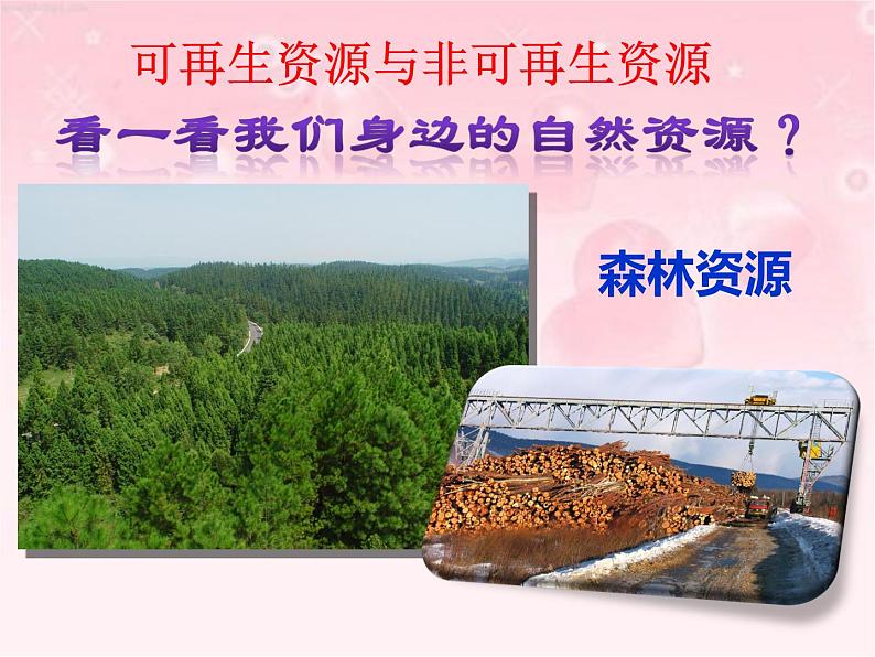 晋教版地理八年级上地三章《丰富的自然资源》课件第4页