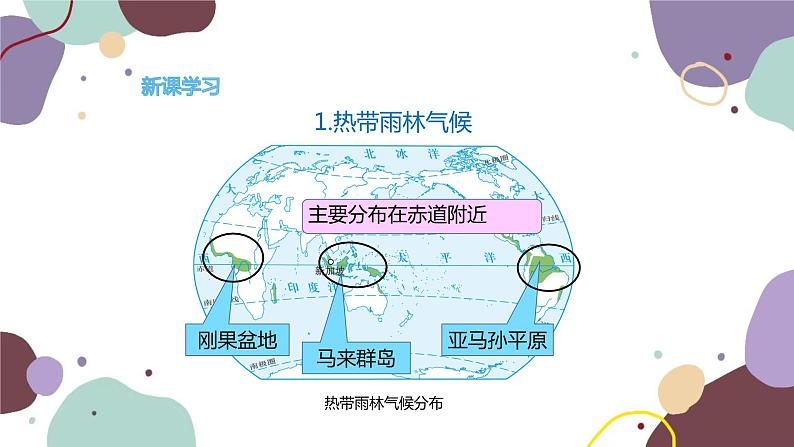 湘教版地理七年级上册 第四章 第四节 世界主要气候类型课件第6页