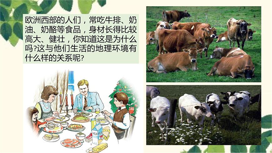 人教版地理七年級下冊 第八章 東半球其他的地區(qū)和國家第二節(jié) 歐洲西部第 2課時 現(xiàn)代化的 畜牧業(yè) 繁榮的旅游業(yè)-課件第2頁