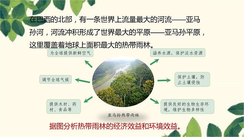 人教版地理七年级下册 第九章 西半球的国家第二节 巴西第二课 时 热带雨林 的开发与保护-课件第4页