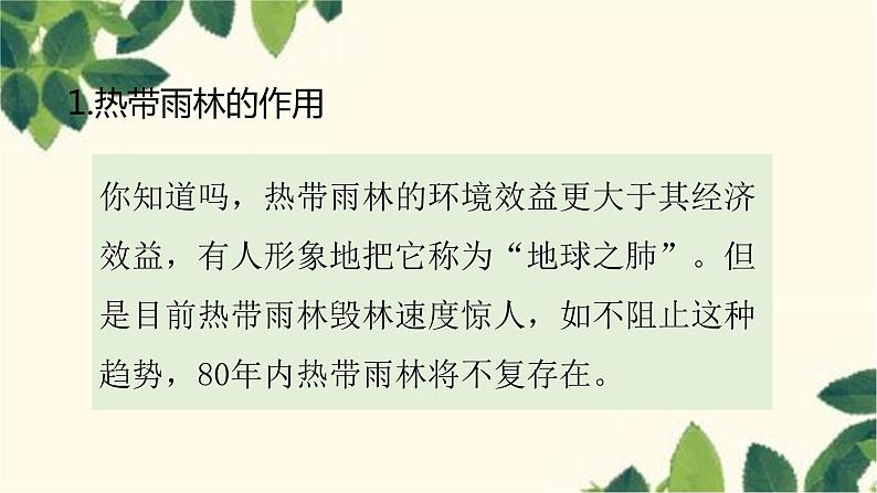 人教版地理七年级下册 第九章 西半球的国家第二节 巴西第二课 时 热带雨林 的开发与保护-课件第5页