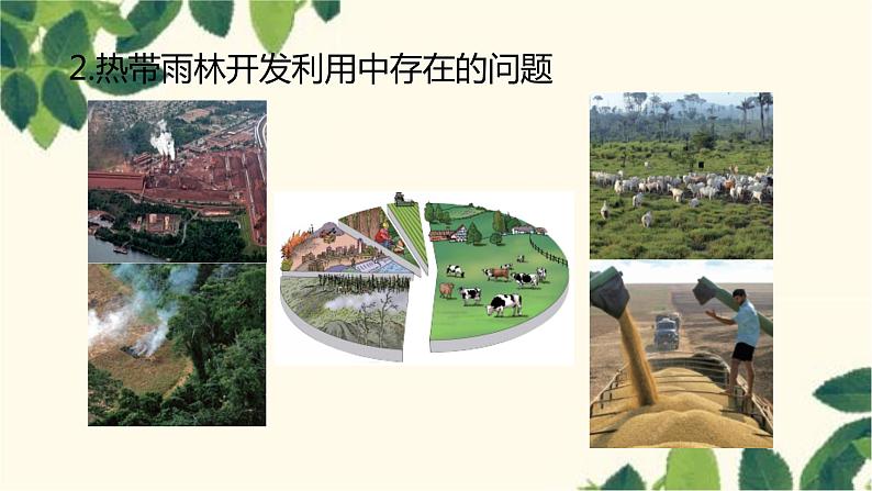 人教版地理七年级下册 第九章 西半球的国家第二节 巴西第二课 时 热带雨林 的开发与保护-课件第6页