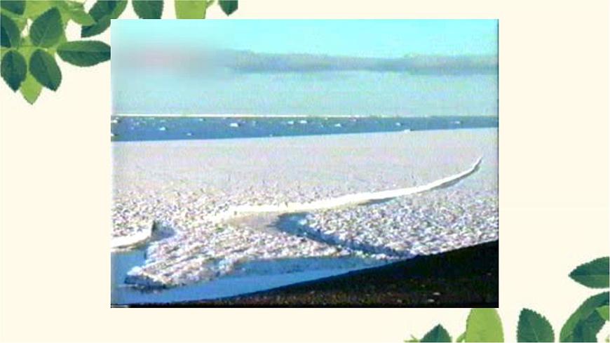 人教版地理七年級下冊 第十章 極地地區(qū)-課件第2頁