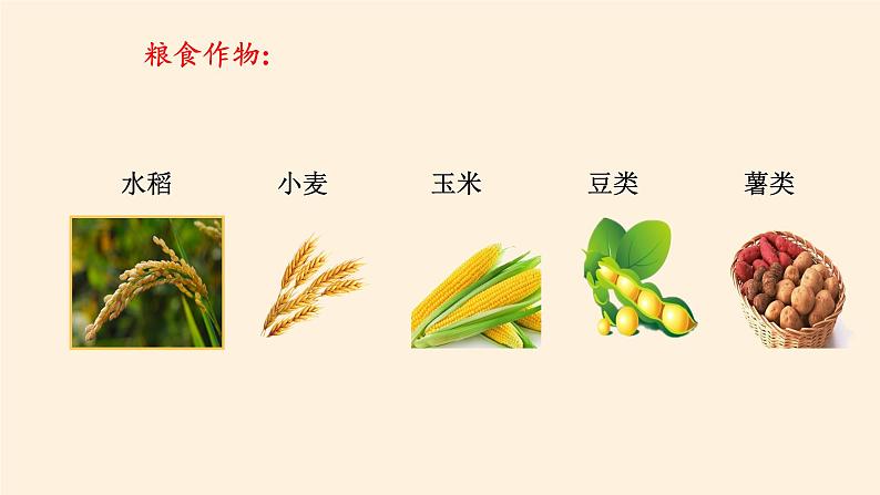 湘教版地理八年级上册第四章 第一节 农业(1) 课件第5页
