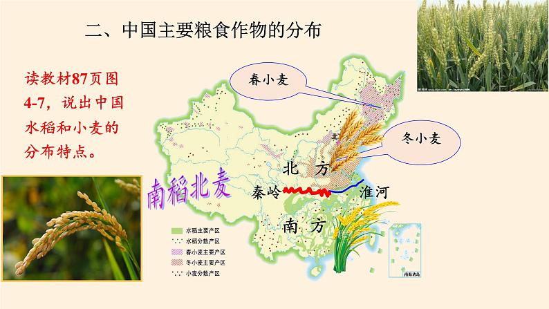 湘教版地理八年级上册第四章 第一节 农业(1) 课件第7页