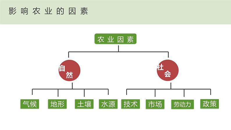 4.1 因地制宜发展农业(第2课时)(课件)-2023-2024学年八年级地理上册同步精品备课(课件+分层练习)(商务星球版)07