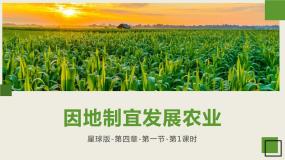 初中地理商务星球版八年级上册第一节 	因地制宜发展农业获奖备课ppt课件