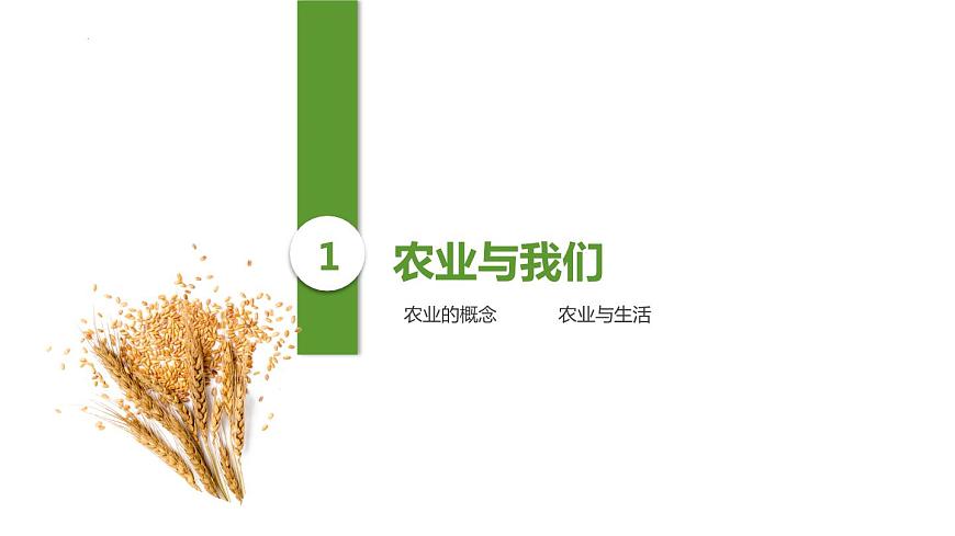 4.1+因地制宜發(fā)展農業(yè)(第1課時)(課件)-2023-2024學年八年級地理上冊同步精品備課(課件+分層練習)(商務星球版)第6頁