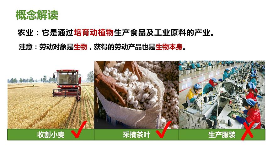 4.1+因地制宜發(fā)展農業(yè)(第1課時)(課件)-2023-2024學年八年級地理上冊同步精品備課(課件+分層練習)(商務星球版)第8頁