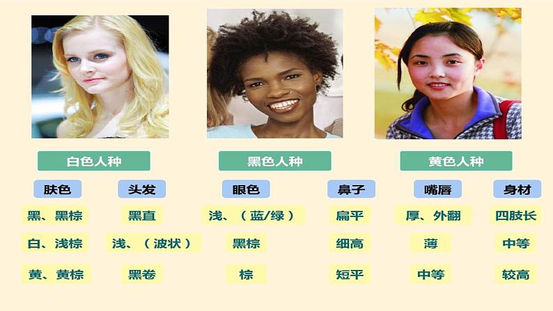 湘教版地理七年级上册 第三章 第二节 世界的人种(课件)第3页