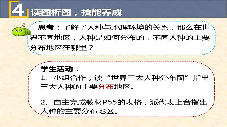 湘教版地理七年级上册 第三章 第二节 世界的人种(课件)第7页