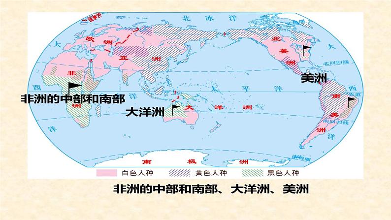 湘教版地理七年级上册 第三章 第二节 世界的人种(课件)第8页