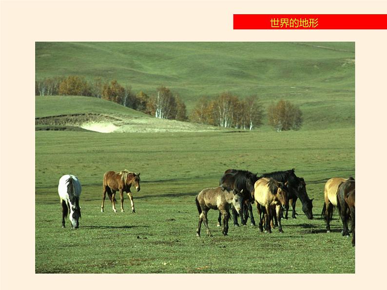 湘教版地理七年级上册 第二章 第三节 世界的地形(课件)08