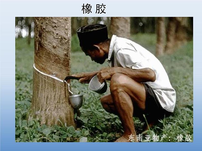 湘教版地理七年级下册 第七章 第一节 东南亚_(5) 课件第3页