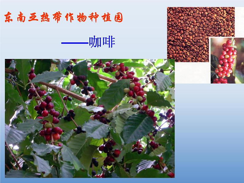 湘教版地理七年级下册 第七章 第一节 东南亚_(5) 课件第5页