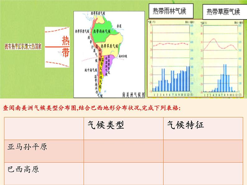 湘教版地理七年级下册 第八章 第六节 巴西(12) 课件第3页