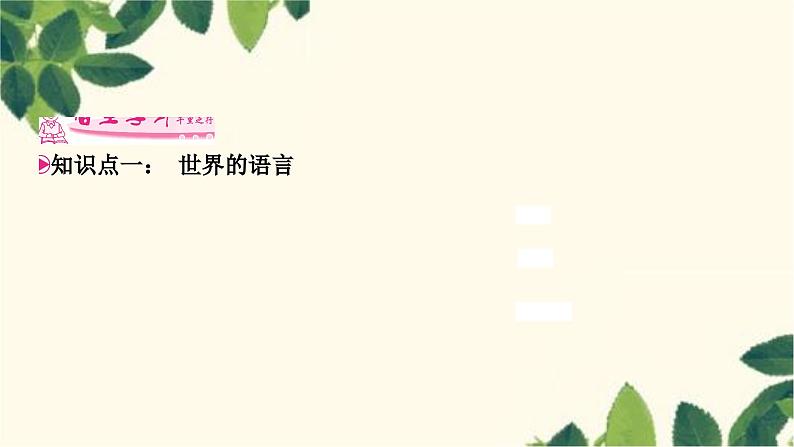 人教版地理七年级上册 第四章 居民与聚落第二节 世界的语言和宗教课件第6页