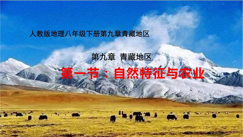 青藏地区《自然特征与农业》 课件第2页