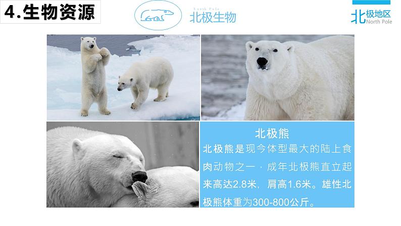 人教版地理七下第十章极地地区课件PPT第8页