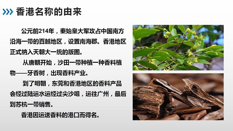 7.1 香港特别行政区的国际枢纽功能 - 八年级地理下册同步教学精品课件(湘教版)03