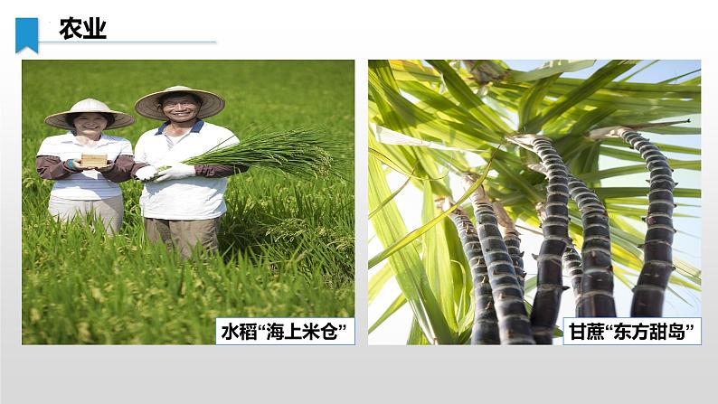 8.2.2 台湾省的地理环境与经济发展(第2课时) - 八年级地理下册同步教学精品课件(湘教版)第5页