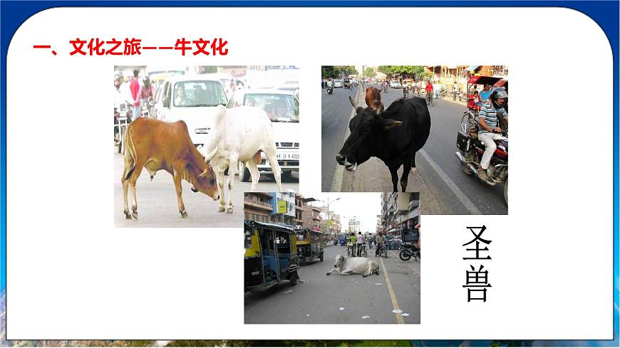 人教版(新課標(biāo))地理七年級(jí)下冊(cè)7.3《印度》課件第8頁(yè)