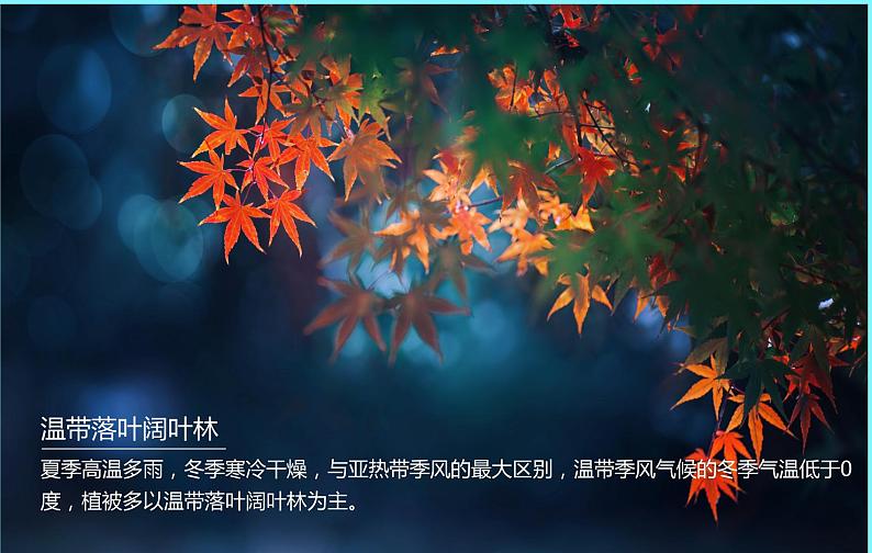 4.4 世界主要气候类型(第2课时)-2024-2025学年七年级地理上册同步精品课件(湘教版)第7页