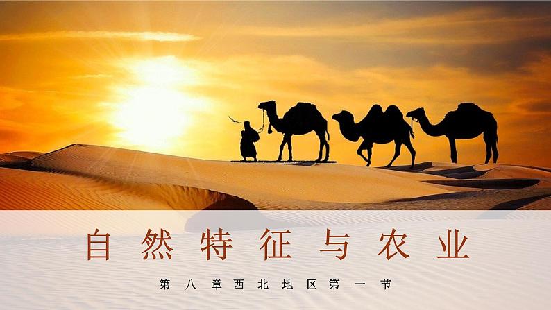 8.1(西北地区)自然特征与农业pptx2024第2页