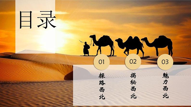 8.1(西北地区)自然特征与农业pptx2024第3页