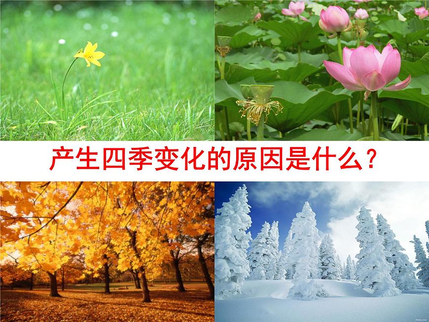 1.4地球的公轉(zhuǎn)+課件2023-2024學(xué)年商務(wù)星球版地理七年級上冊第1頁