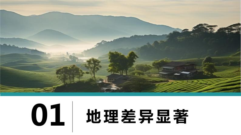 人教版地理八年级下册 5.0中国的地理差异 同步课件+同步教案03