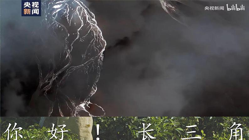 7.2 ”鱼米之乡“—长江三角洲地区 (课件)-2023-2024学年八年级地理下学期人教版第2页