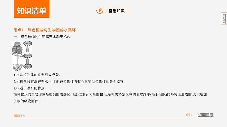专题2 绿色植物的生理活动第2页