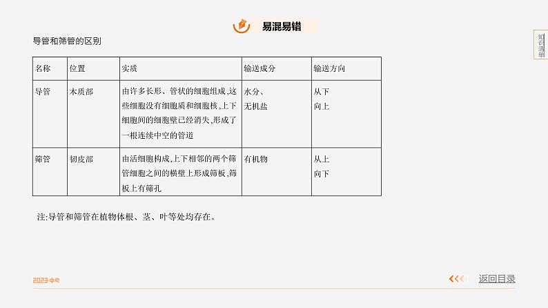专题2 绿色植物的生理活动第5页