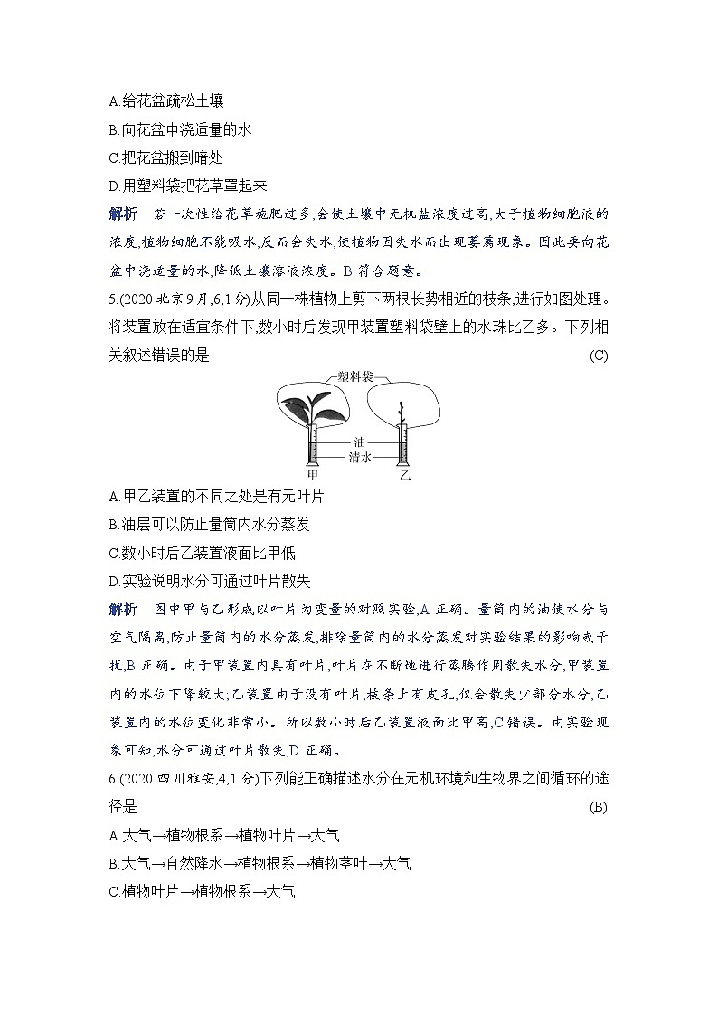 专题2 绿色植物的生理活动第2页